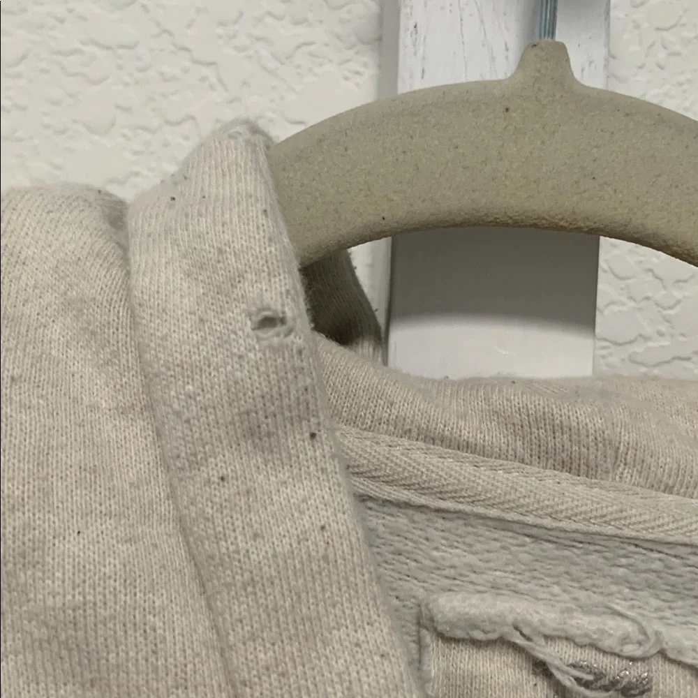 Aerie Love Embroidery Beige Hoodie - Picture 5 of 8